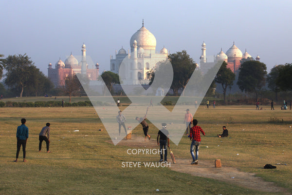 Game of cricket being played on the grass with the Taj Mahal in the background 