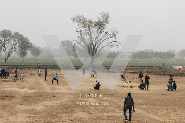 locals playing cricket at a big tree ground just off the Yamuna Expressway, Uttah Pradesh