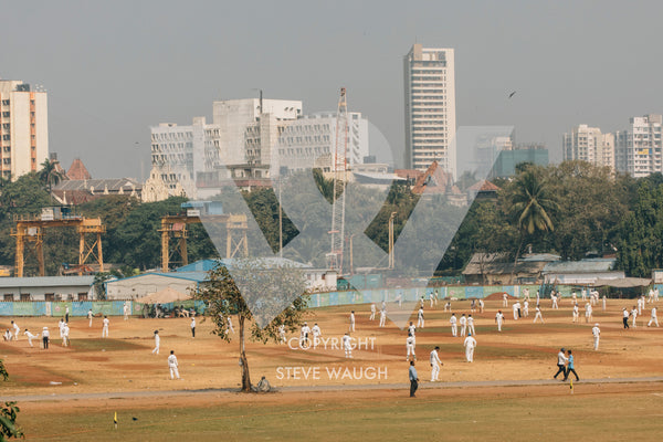 Cricket being played in an industrial area, Gymkhana Club, Mumbai. Players resemble multiple white ants